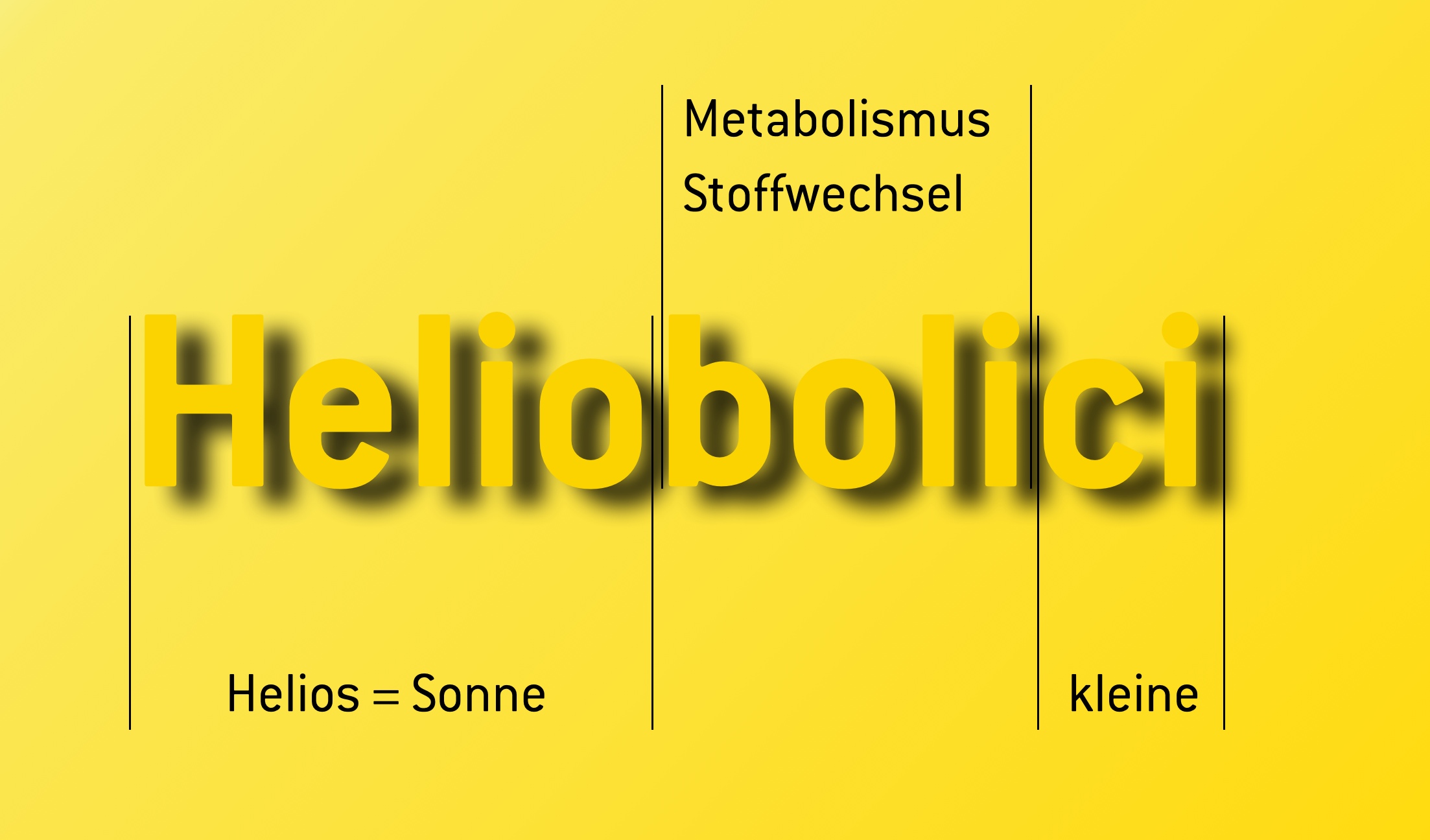 Heliobolici